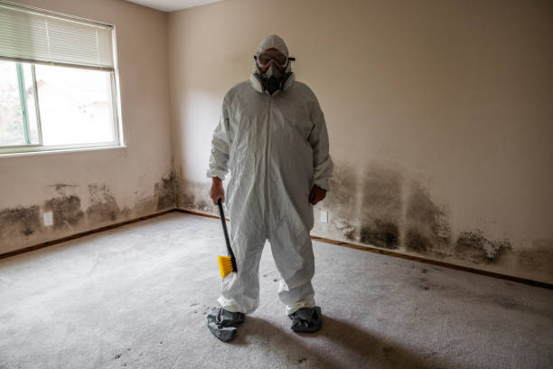 Best Mold Remediation  in Midvale, UT